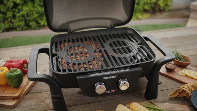 Amazon.com: Nexgrill Fortess 2-Burner Portable Gas Grill & Griddle